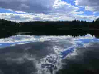 Ein ruhiger See mit einer Spiegelung des bewölkten Himmels und umgebenden Waldes.