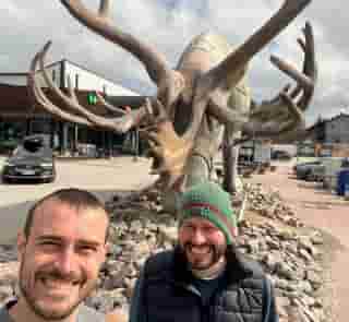 Elch vor dem Shoppingcenter