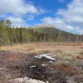 Moor, dahinter der Berg Kesänkitunturi