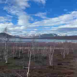Blick auf den See Torneträsk