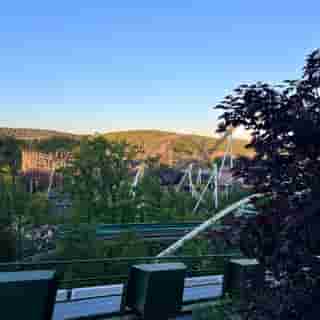 Achterbahnen ragen in Liseberg zwischen vielen Bäumen in die Höhe.