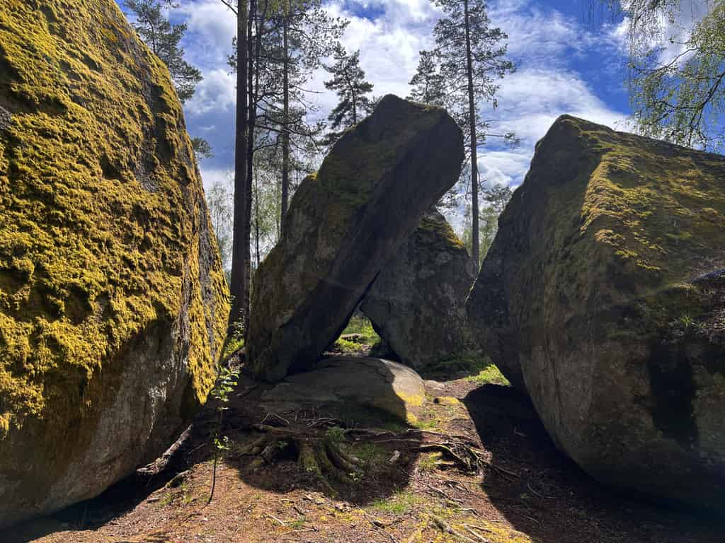 Große, moosbedeckte Felsen in einem Wald, mit hohen Bäumen im Hintergrund.