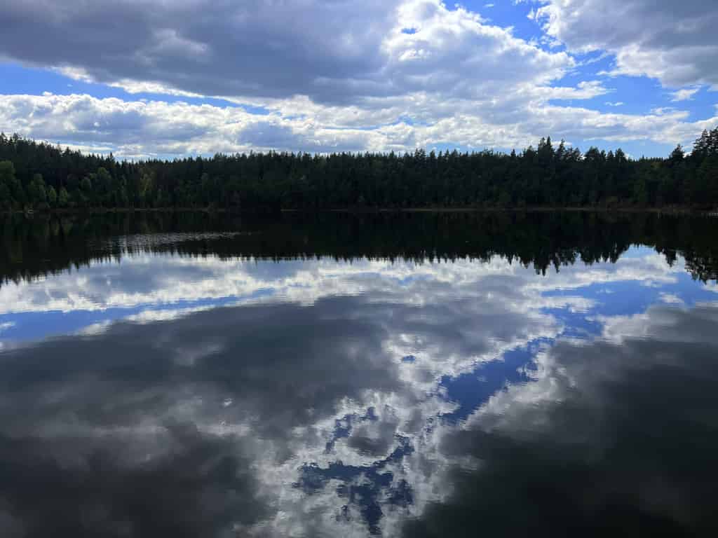 Ein ruhiger See mit einer Spiegelung des bewölkten Himmels und umgebenden Waldes.