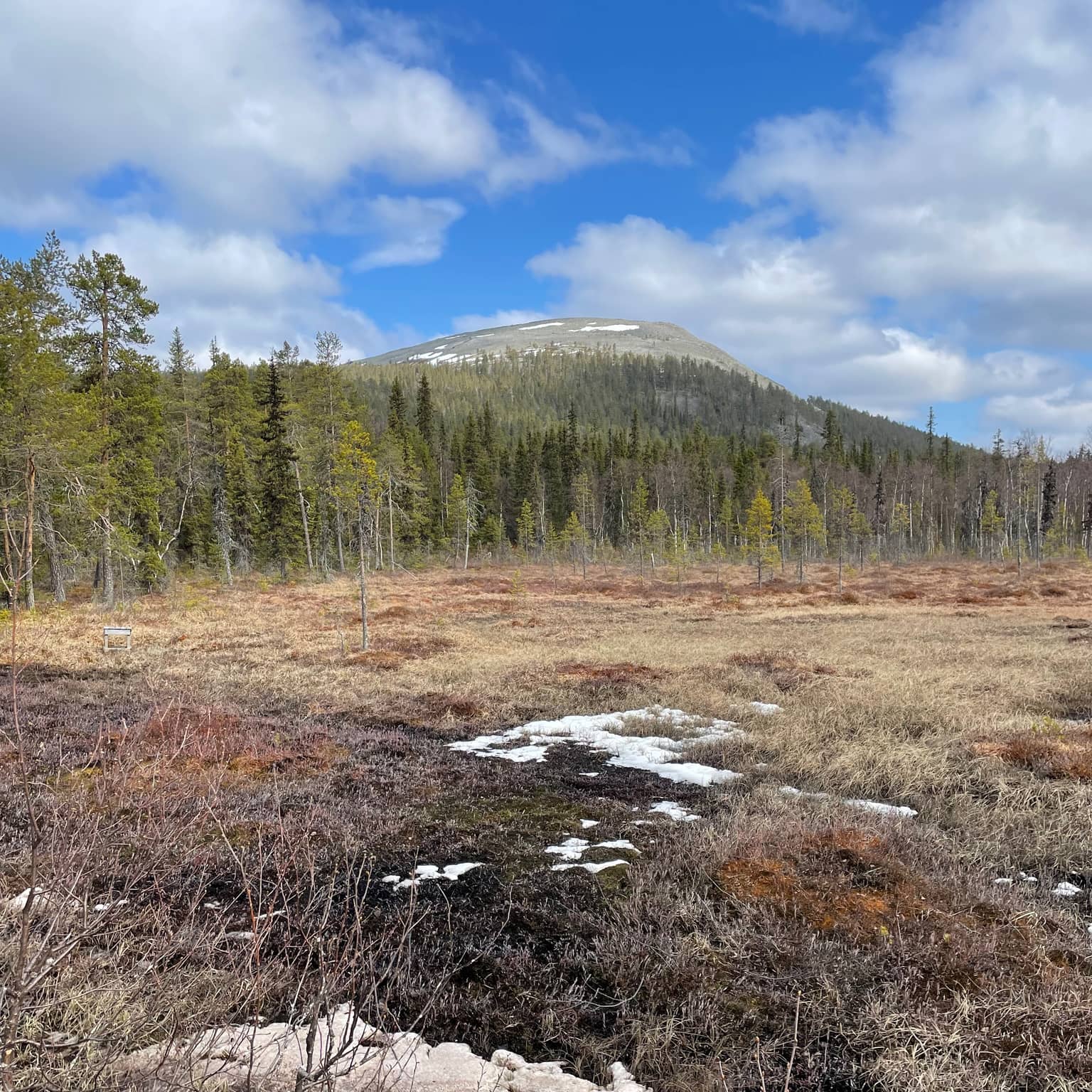 Moor, dahinter der Berg Kesänkitunturi