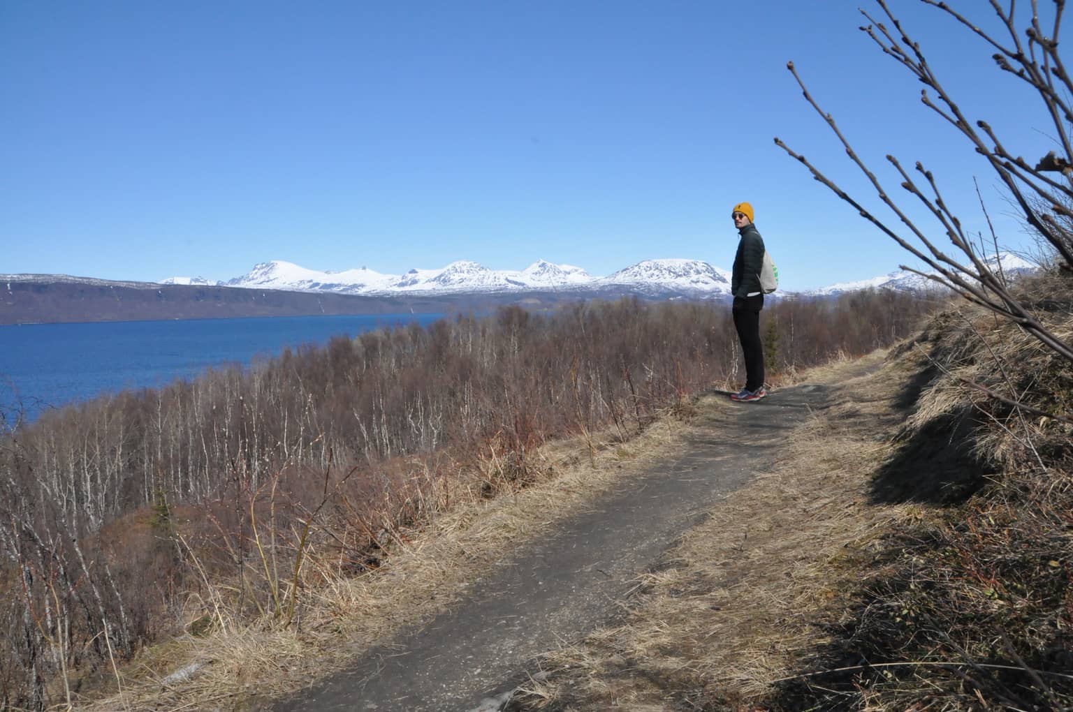 Meer mit Häusern im Vordergrund und schneebedeckten Bergen im Hintergrund. Fotografiert in Narvik.