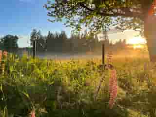 Bild Natur in Südschweden